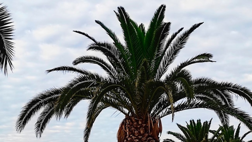 Productos y gastronomía